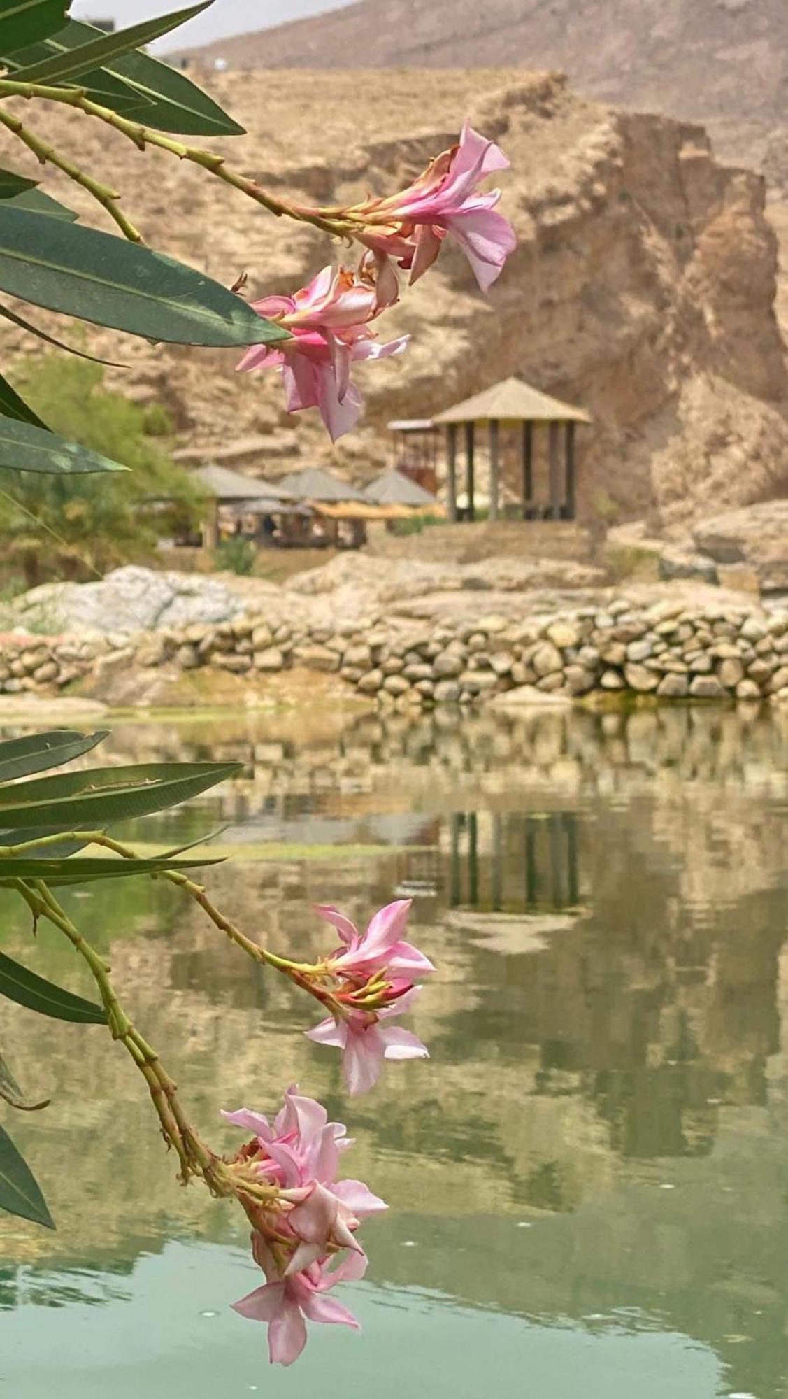 Wadi Bani Khalid - Al Joud Green Hostel Dawwah Luaran gambar